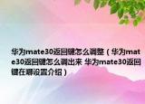 華為mate30返回鍵怎么調(diào)整（華為mate30返回鍵怎么調(diào)出來(lái) 華為mate30返回鍵在哪設(shè)置介紹）