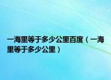 一海里等于多少公里百度（一海里等于多少公里）