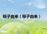 粽子由來（粽子由來）