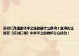 笑傲江湖里面林平之練的是什么武功（金庸先生原著《笑傲江湖》中林平之的眼睛怎么瞎的）