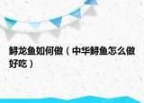 鱘龍魚如何做（中華鱘魚怎么做好吃）