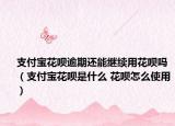 支付寶花唄逾期還能繼續(xù)用花唄嗎（支付寶花唄是什么 花唄怎么使用）