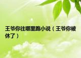 王爺你往哪里跑小說（王爺你被休了）