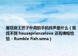 屋塔房王世子樸荷的手機(jī)鈴聲是什么（我找不到 housepriencelove 還有噢啦恰恰 - Rumble Fish.wma）