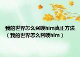 我的世界怎么召喚him真正方法（我的世界怎么召喚him）