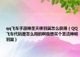 qq飛車手游神圣天使羽翼怎么獲得（QQ飛車代碼是怎么用的啊我想買個圣潔神明羽翼）