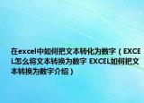 在excel中如何把文本轉(zhuǎn)化為數(shù)字（EXCEL怎么將文本轉(zhuǎn)換為數(shù)字 EXCEL如何把文本轉(zhuǎn)換為數(shù)字介紹）