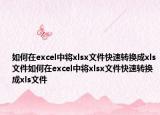 如何在excel中將xlsx文件快速轉(zhuǎn)換成xls文件如何在excel中將xlsx文件快速轉(zhuǎn)換成xls文件