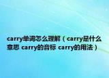 carry單詞怎么理解（carry是什么意思 carry的音標(biāo) carry的用法）