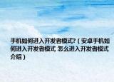 手機(jī)如何進(jìn)入開發(fā)者模式?（安卓手機(jī)如何進(jìn)入開發(fā)者模式 怎么進(jìn)入開發(fā)者模式介紹）