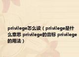 privilege怎么讀（privilege是什么意思 privilege的音標(biāo) privilege的用法）