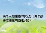 兩個人離婚財產(chǎn)怎么分（兩個孩子離婚財產(chǎn)如何分配）