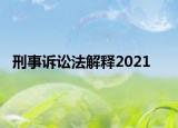 刑事訴訟法解釋2021