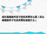 現(xiàn)在離婚案件孩子的撫養(yǎng)費怎么算（訴訟離婚案件子女撫養(yǎng)費標準是什么）