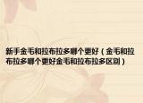 新手金毛和拉布拉多哪個(gè)更好（金毛和拉布拉多哪個(gè)更好金毛和拉布拉多區(qū)別）
