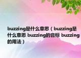 buzzing是什么意思（buzzing是什么意思 buzzing的音標(biāo) buzzing的用法）