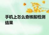 手機(jī)上怎么查核酸檢測(cè)結(jié)果