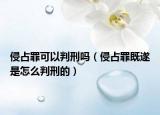 侵占罪可以判刑嗎（侵占罪既遂是怎么判刑的）