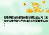 我愿做你所向披靡的利劍是誰的臺詞（王者榮耀我會做你所向披靡的利劍是誰說的）
