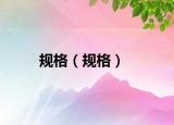 規(guī)格（規(guī)格）