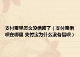 支付寶里怎么沒(méi)借唄了（支付寶借唄在哪里 支付寶為什么沒(méi)有借唄）