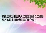 核酸結(jié)果出來(lái)后多久紅碼變綠碼（紅碼做幾次核酸才能變成綠碼詳細(xì)介紹）