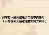 開車把人撞死逃逸了負刑事責任嗎（開車撞死人后逃逸的如何去判刑）