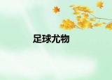 足球尤物