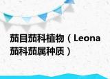 茄目茄科植物（Leona 茄科茄屬種質(zhì)）