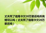 丈夫死了信用卡欠20萬要還嗎弄離婚可以嗎（丈夫死了信用卡欠20萬要還嗎）