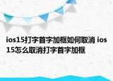 ios15打字首字加框如何取消 ios15怎么取消打字首字加框