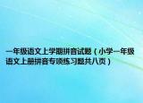 一年級(jí)語文上學(xué)期拼音試題（小學(xué)一年級(jí)語文上冊(cè)拼音專項(xiàng)練習(xí)題共八頁）