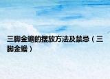 三腳金蟾的擺放方法及禁忌（三腳金蟾）