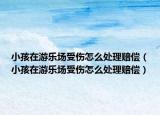 小孩在游樂場受傷怎么處理賠償（小孩在游樂場受傷怎么處理賠償）