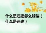 什么是違建怎么賠償（什么是違建）