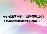 word如何自動(dòng)生成序號(hào)到1000（Word如何自動(dòng)生成編號(hào)）