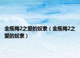 金瓶梅2之愛的奴隸（金瓶梅2之愛的奴隸）