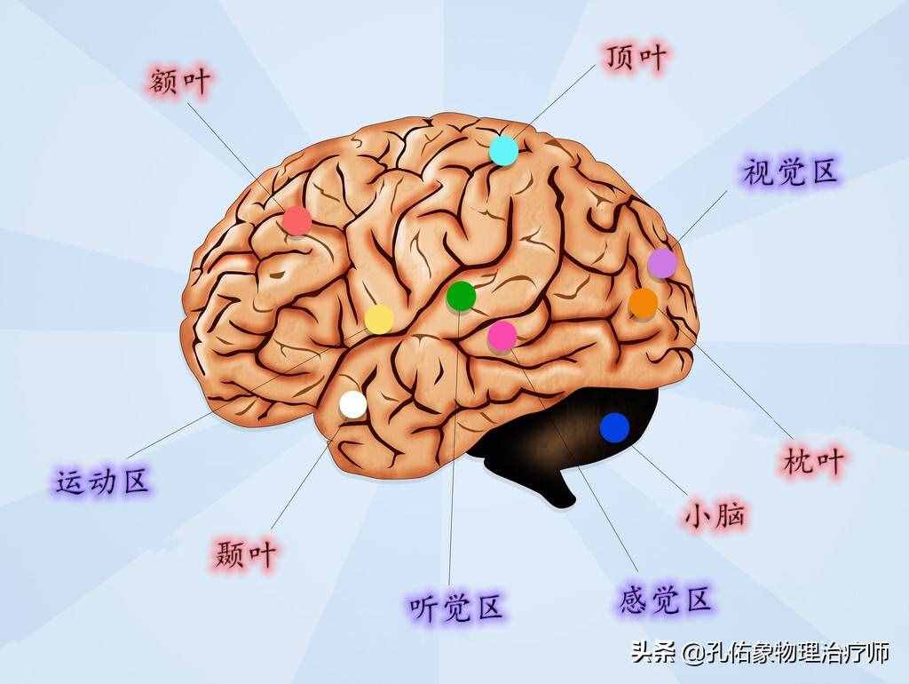 為何如此多的人發(fā)生腦出血？要如何正確應(yīng)對？一文詳細(xì)告知您