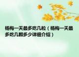 楊梅一天最多吃幾粒（楊梅一天最多吃幾顆多少詳細介紹）