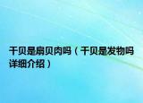 干貝是扇貝肉嗎（干貝是發(fā)物嗎詳細(xì)介紹）