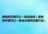 楊梅和檸檬可以一起泡酒嗎（楊梅和檸檬可以一起泡水喝嗎詳細介紹）