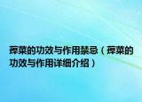 蔊菜的功效與作用禁忌（蔊菜的功效與作用詳細(xì)介紹）