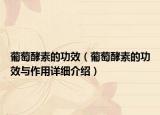 葡萄酵素的功效（葡萄酵素的功效與作用詳細(xì)介紹）