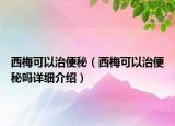 西梅可以治便秘（西梅可以治便秘嗎詳細介紹）