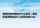 核酸檢測待復(fù)核是什么意思（核酸檢測待復(fù)核是什么情況詳細(xì)介紹）