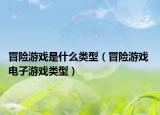 冒險(xiǎn)游戲是什么類型（冒險(xiǎn)游戲 電子游戲類型）
