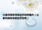 讓暴風(fēng)雨來得更猛烈些吧圖片（讓暴風(fēng)雨來得更猛烈些吧）