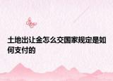 土地出讓金怎么交國家規(guī)定是如何支付的