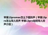 蘋果13promax怎么下載鈴聲（蘋果13pro怎么導(dǎo)入鈴聲 蘋果13pro如何導(dǎo)入鈴聲介紹）
