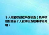 個人做的核酸結果在哪查（集中核酸檢測后個人在哪里查結果詳細介紹）